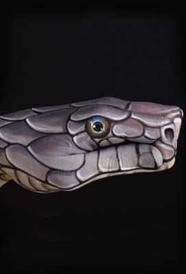 2013 - год черной водной змеи